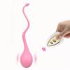 Sex Toys Remote Control Vibrator Female Wireless Clitoris G Spot Stimulator Vibrating Love Egg Adult Goods for Women Panties 18+