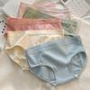 Women's Cotton Underwear Mid Waist No Show Panties Soft Breathable Full Coverage Briefs Ladies Stretchy Underpants