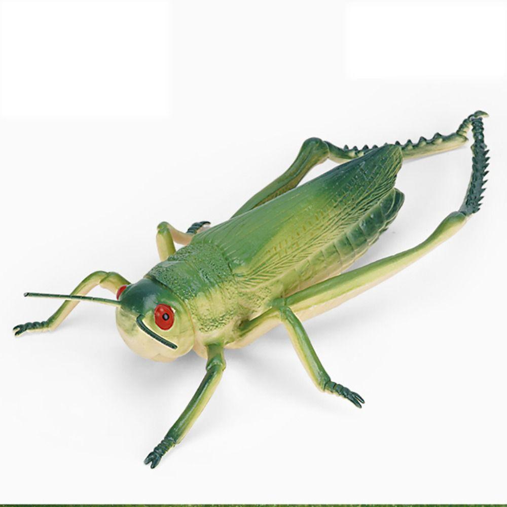 Кузнечик Моделирование Модель дикой природы Сверчок Моделирование Модель насекомого Забавные детские игрушки