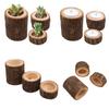 Decorative Tree Branch Candle Holder Handmade Wood Tea Light Stand for Living Room and Event Decor