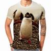 Animal Penguin 3D Printed T-shirt Summer Men's Casual Round Neck Short Sleeve T-shirt Trendy Versatile Large Top