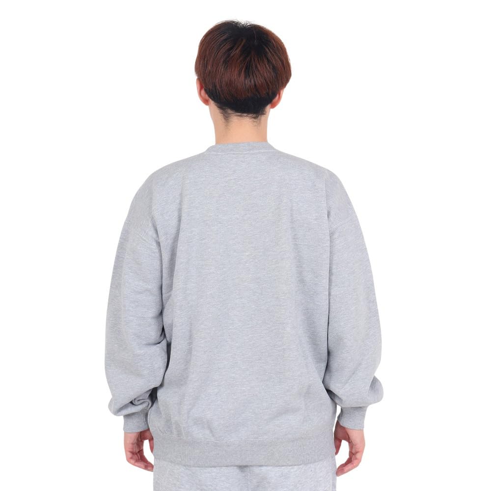 Толстовка с длинным рукавом из флиса, хлопок, США, свободный крой, большой размер, логотип One Point, круглый вырез, толстовка в стиле экшн, Оксфорд, серый, размер S [Champion] C3-X005