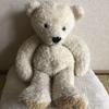 [USED] Teddy Bear