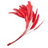 10Pcs Multicolor Rooster Feather Natural Feather Clothing Accessories Feathers  Headwear Accessories