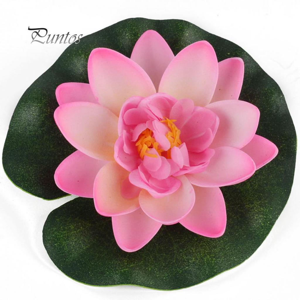 Водяная лилия, плавающий цветок, лотос, домашний двор, пруд, аквариум