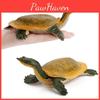 Набор ПВХ моделей животных с пресноводными черепахами для коллекции и демонстрации