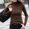 Winter Warm Women Blouse Thick Turtleneck Pullovers Bottoming Shirt for Women Warm Blouse
