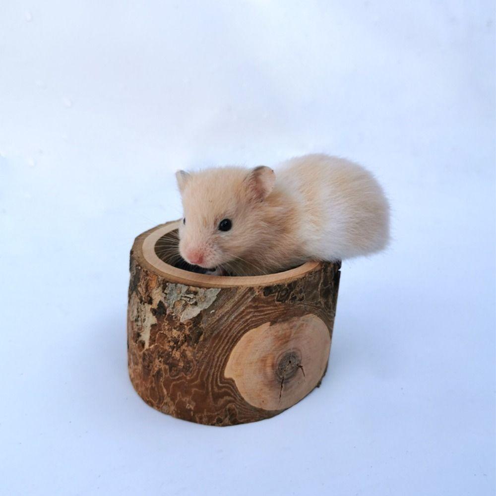 Прочная миска для корма из яблони, практичная миска для корма морских свинок, деревянная миска для корма хомяков