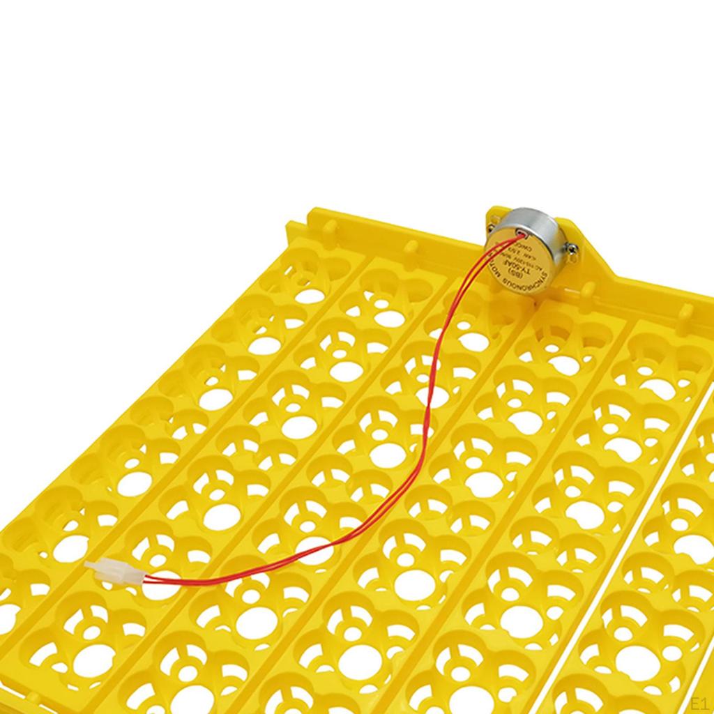 Инкубатор для яиц, лоток с моторным куриным перепелиным яйцом, аксессуар для инкубации