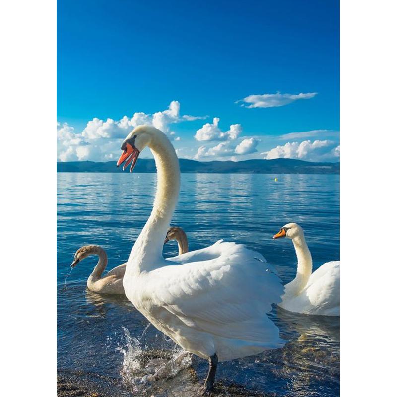 DIY Лебедь 5D алмазная живопись полная круглая дрель Алмазная вышивка животные стразы набор для вышивки крестом подарок домашний декор