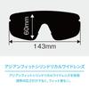 Sunglasses FA2 Crystal Silver Clear Photochromic [OGK Kabuto] Clear/NXT