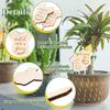20PCS Wooden Plant Flower Insert Growth Label Creative Garden Wooden Plant Card Lettering Decoration Sign