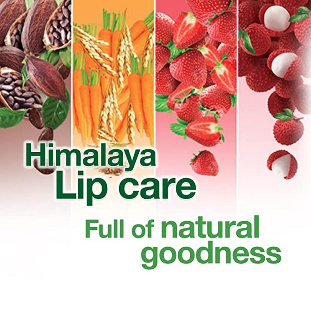 Himalaya Lip Balm, 10g, 20 Pieces