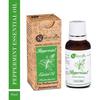 Naturalis Essence Of Nature Peppermint Essential Oil Undiluted Pure , Hair, Skin, Face & Diffuser - (30 Ml) - Pack Of 4