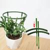 Plant Support Pile Stand Climb for Flowers Grow Semicircle Greenhouses Arrangement Fixing Rod Holder Orchard Garden Bonsai Tool