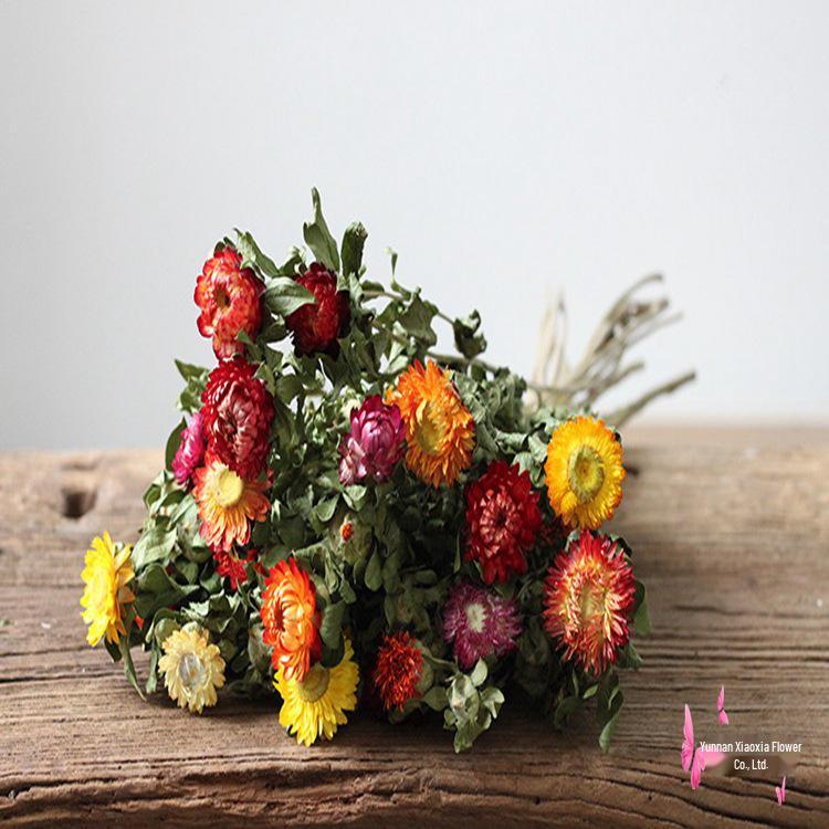 Seven-Color Chrysanthemum & Chamomile Dried Flower Bouquet