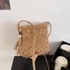 Yogodlns Straw Woven Square Women Crossbody Shoulder Bag Fashion Tassle Design Small Handbag Summer Beach Bag Lady Travel Shopper Totes