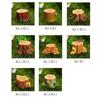 Пень и пеньковые микроландшафтные украшения, суккулентные украшения, садоводческие полимерные поделки