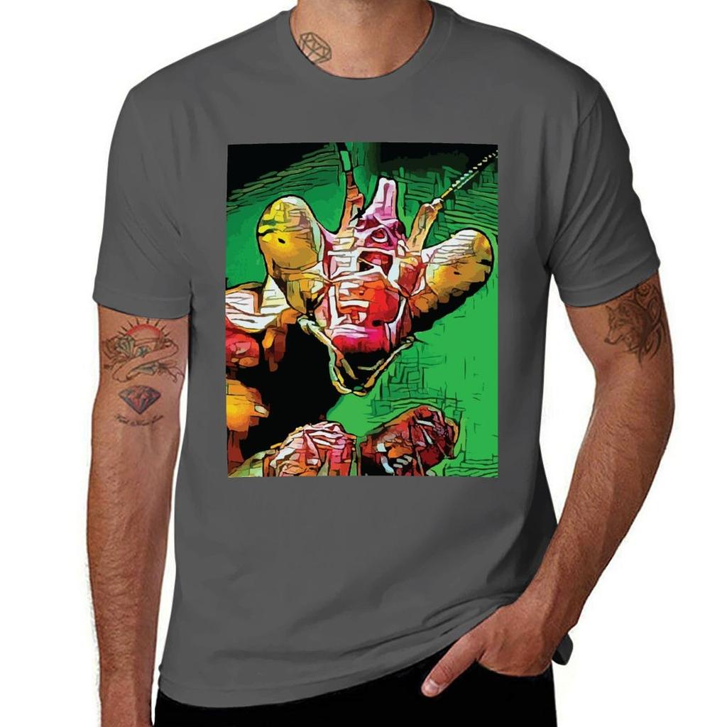 Мужской хлопок пакет Насекомые футболка т Богомол Насекомые Богомол Футболка рубашка процент Молящийся хлопок для 100