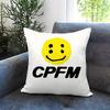 Hot CCPFMew Cushion Cover Comfortable Reversible Pillow Cover Ideal for Car Sofa Bedroom  Beyond