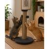 Arbre à chat - EDEN - Riba - 60 cm - Base rembourrée - Poteau corde jute