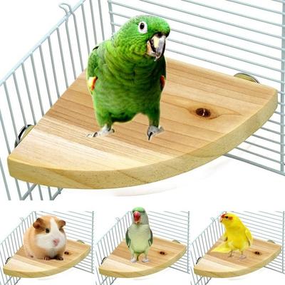 Птицы – Игрушки для птиц