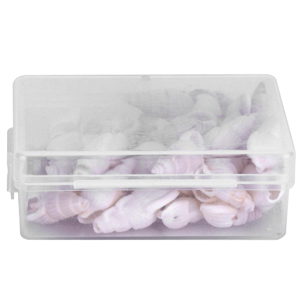 Natural Shells Sea Snail Jewelry Craft DIY Conch Home Wedding Decorations Ornament