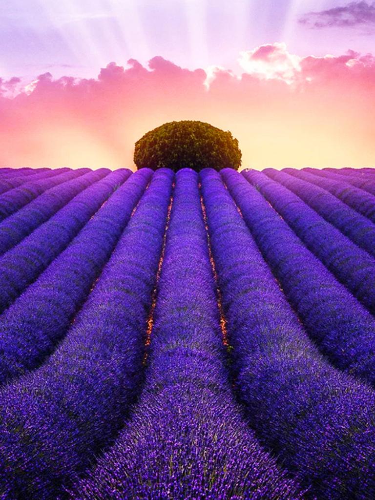 Круглая алмазная вышивка «сделай сам», пейзаж, цветок, море, 5D алмазная живопись, вышивка крестиком, лавандовая мозаика, украшение дома, подарок на Новый год