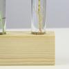 Decorative Hydroponic Tube Test Tube Vase Transparent Glass Universal Vases for Home