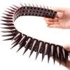 1 Pc Plastic Bird Spike Wall Fence Spikes Yard Bird Spikes For Anti Climbing