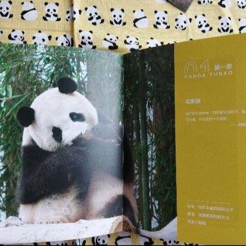 [USED] A rare item! The fourth book in the series following Panda Hana Hana Moeran Kouka, "Panda Fukuho