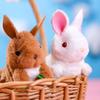 Плюшевые животные Игрушка Дети Мальчик Девочка Мягкие игрушки Кролик 1 шт. Милый заводной Прыгающий кролик Заводные Ходячие игрушки Детские Развлекательные подарки