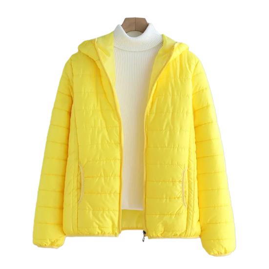 Fall Winter Women Jacket Thick Padded Warm Windproof Soft Zipper Closure Loose Cardigan Hooded Long Sleeve Lady Down Coat
