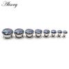 Alisouy 2PCS Stainless Steel The Milky Way Cloud Enamel Ear Tunnels Plugs Expander Stretcher Gauge Earring Piercing Body Jewelry