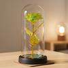 Preserved Rose In Dome with LED Light Artificial Eternal Rose Flower Gifts for Her Mom Women Valentine's Day Mother's Day Christmas Birthday Gift