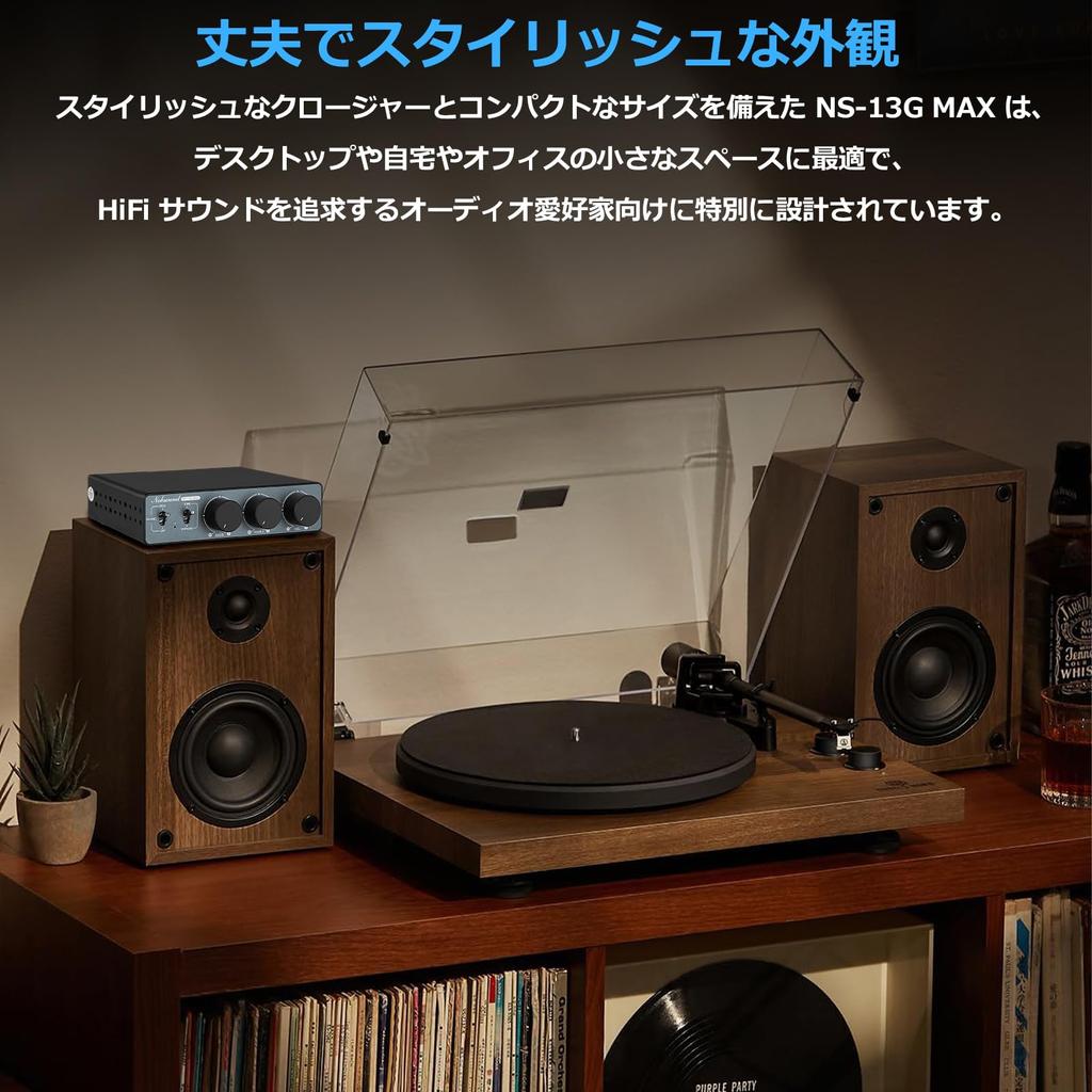 Douk Audio MAX HiFi Mini Stereo Audio Amplifier MM PHONO Phono Amplifier Phono Equalizer Class D Small Power Amplifier Phono Input NS-13G 2.0CH 300W2