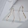 S925 Sterling Silver Flake Chain Dangle Earrings: Luxury & Elegant Design for Women