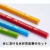 Акварельные цветные карандаши в плоской банке 60 цветов набор Faber-Castell TFC-WCP/60C