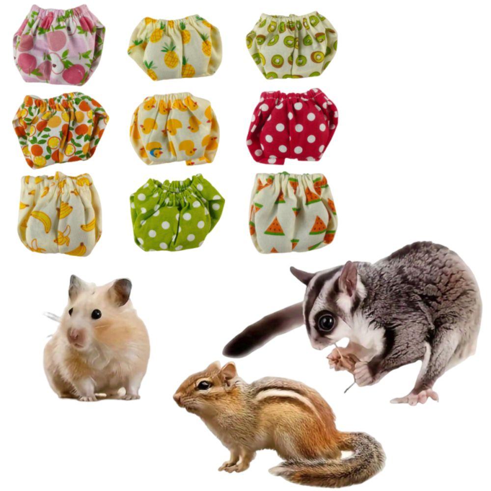 Absorbent Pet Training Pants Breathable Squirrel Underwear Potty Training Underwear  Incontinence