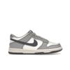 Dunk Low GS Platinum Tint Light Carbon Kids Sneakers White Pure-Platinum FB9109-101
