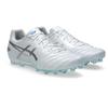 Asics DS Lite Pro Comfortable Fashion Soccer Shoes Men Soccer Shoes White Silver 1103A096-104