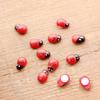 Micro Landscape Ornaments: Wooden Beetle & Ladybug DIY Set for Fish Tanks