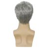 Men's Gray Handsome Fluffy Short Hair