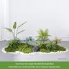 Bionic Fake Plants for Indoor Decoration: Living Room, Window Display, Under Stairs, Corner Arrangement.