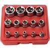 14Pcs E-Torx Hexagonal Plum Torque Socket Set with Case 1/4, 3/8, 1/2 In Drive Female External Star Socket Set E4-E24 Sockets