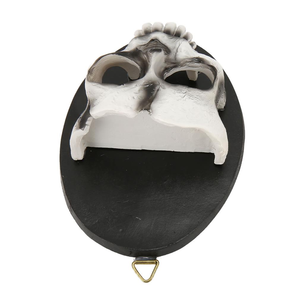 Настенный подсвечник в виде черепа, прочная смола, богатые детали, подвесной крюк, подсвечник-скелет для украшения вечеринки