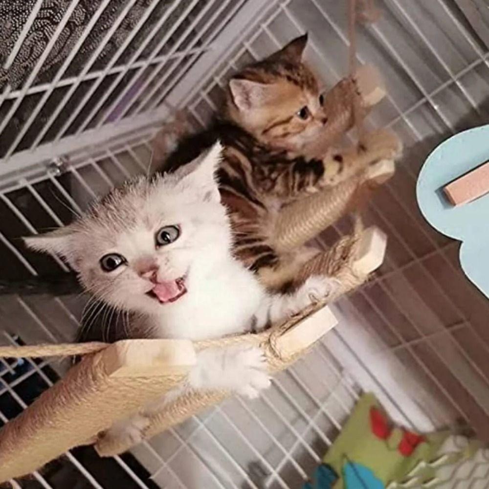 Деревянная когтеточка для кошек, настенная когтеточка для кошек, сизалевая веревка, игровая лестница для кошек