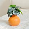 Orange Fruit Shaped Vase Reproduction Enamel Vase Desktop Art Vase Desktop Decoration Bouquet Centerpiece