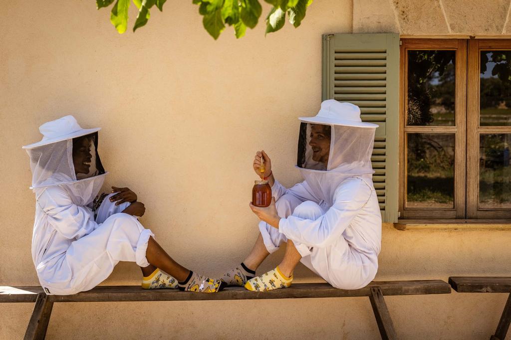 Ноги Пчелы и мед 40-43