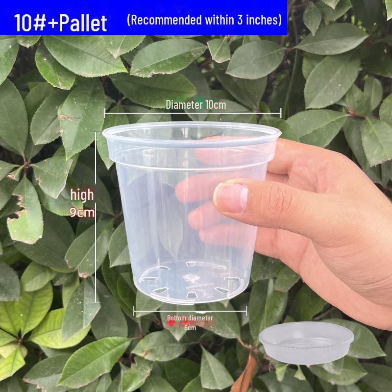 Clear Plastic Orchid Pot: Sphagnum Moss, Square & Round Design for Phalaenopsis or Fish Tanks